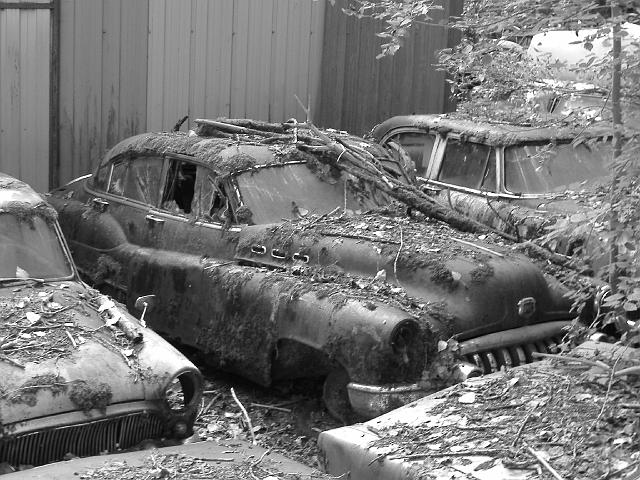 Autofriedhof - 036.JPG - Historischer Autofriedhof,    Gürbetal (CH)